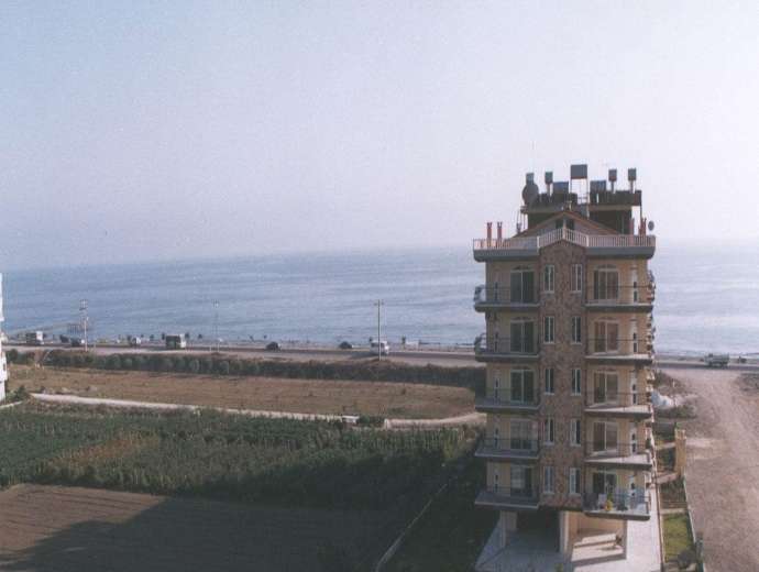 Image 8